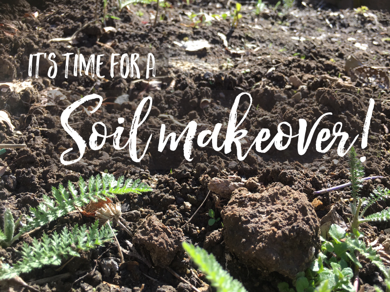 Let's talk dirt! That's soil to gardners.