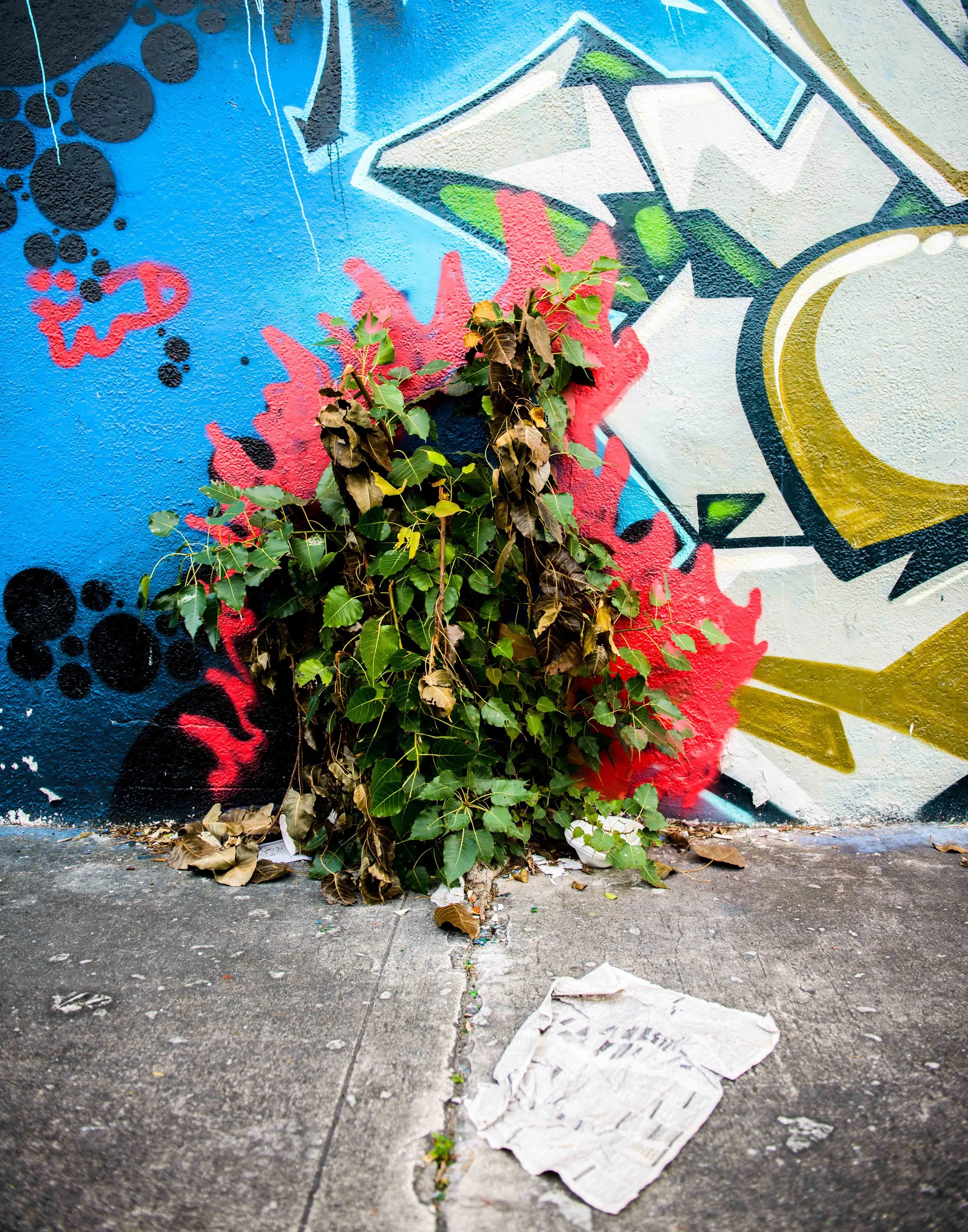 Wynwood Part 2-5-2.jpg