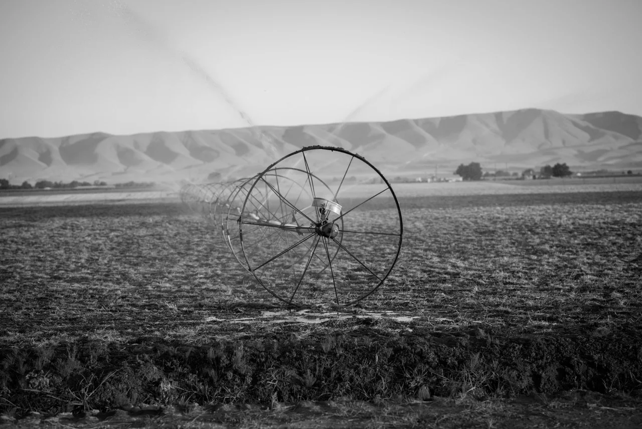 DSC_0242-2.jpeg