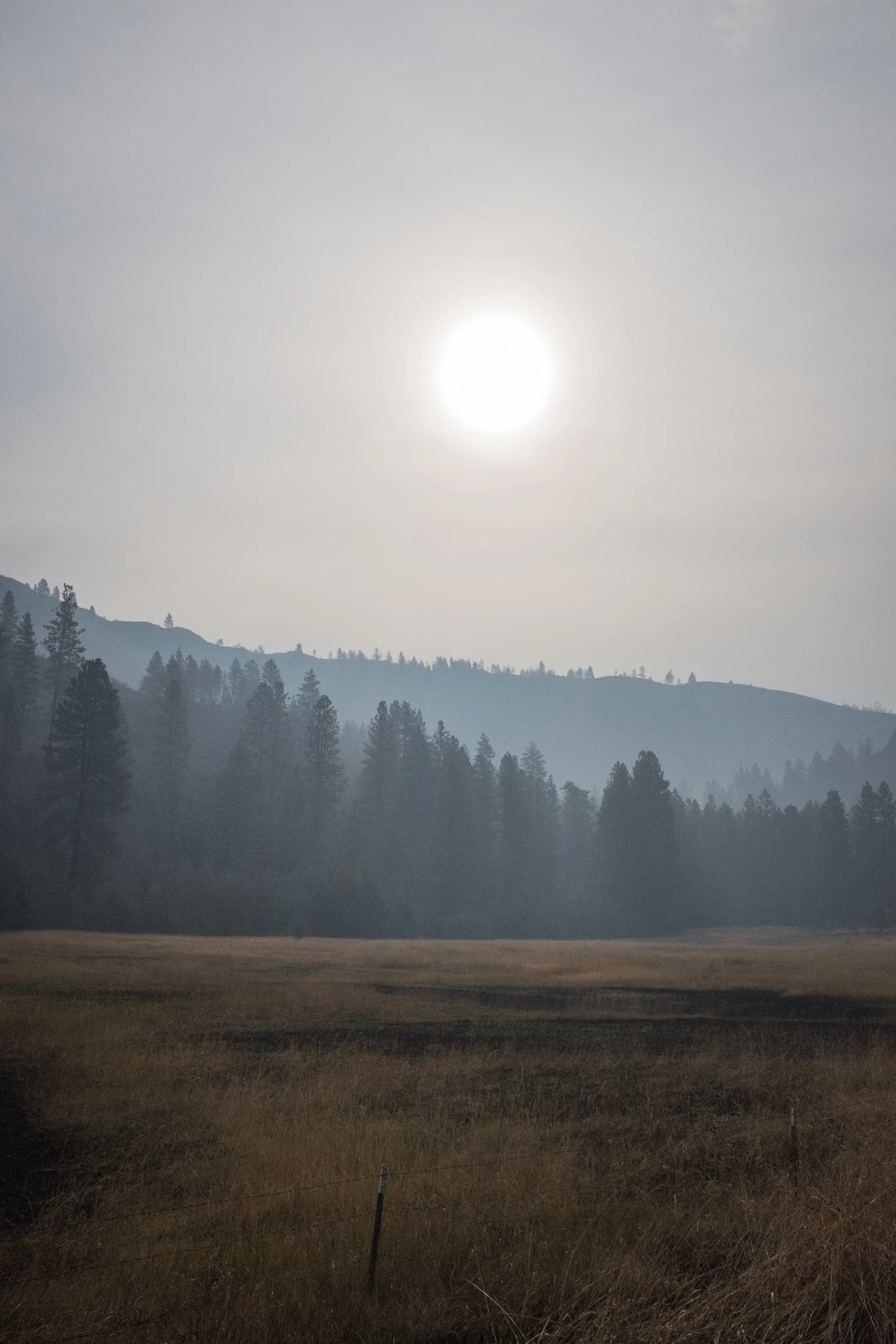 The morning sun fights to burn throught the smoke and haze near Omak, WA.