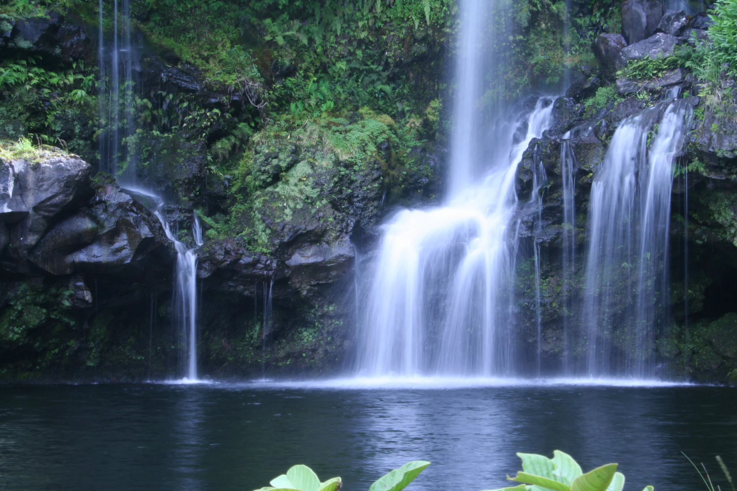 nemofalls_temp.jpg