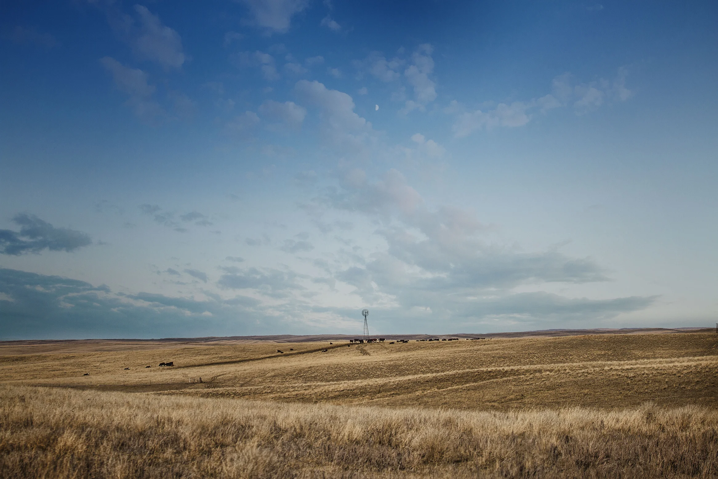 IMG_0944Windmill.jpg
