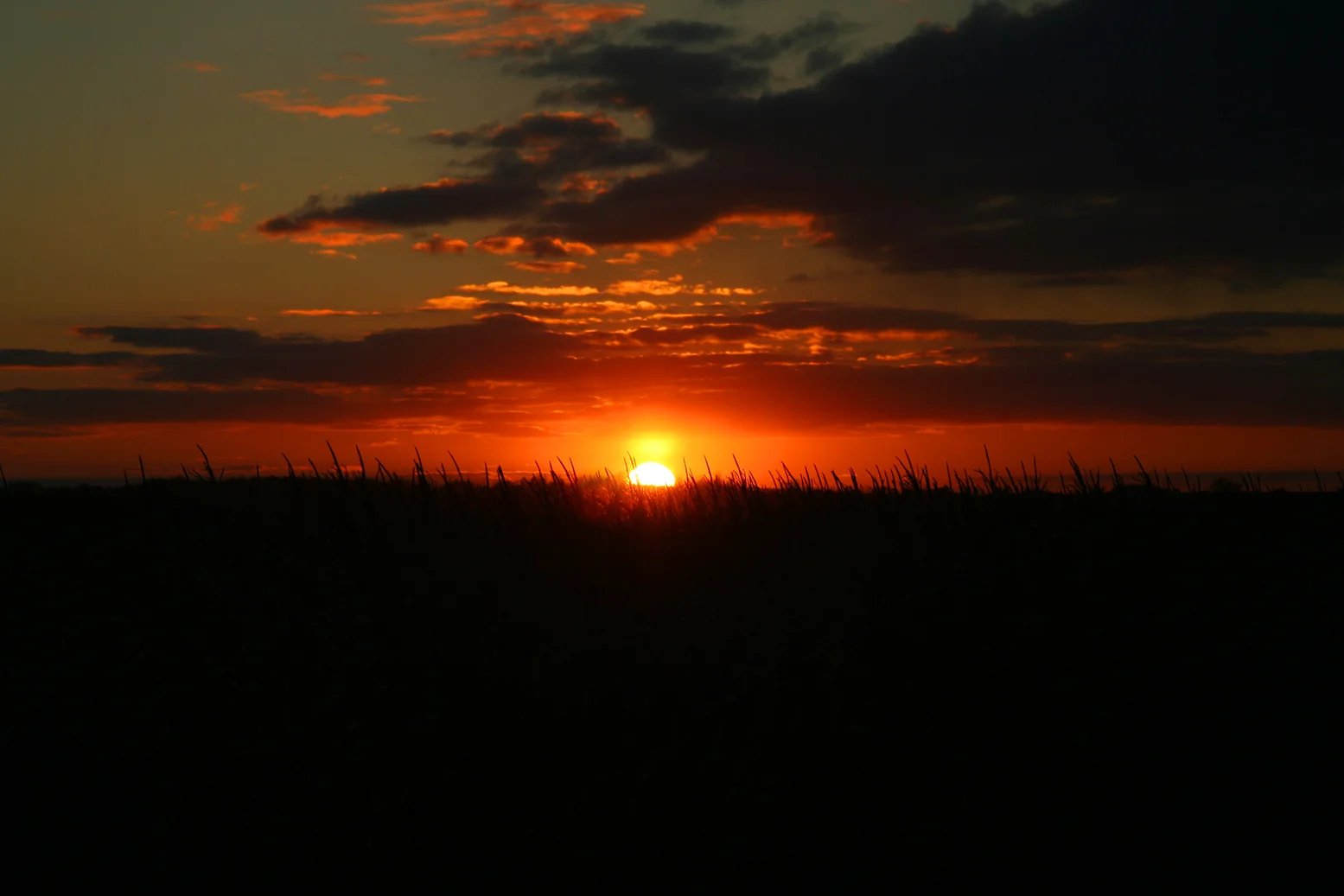 SD Sunset.jpg