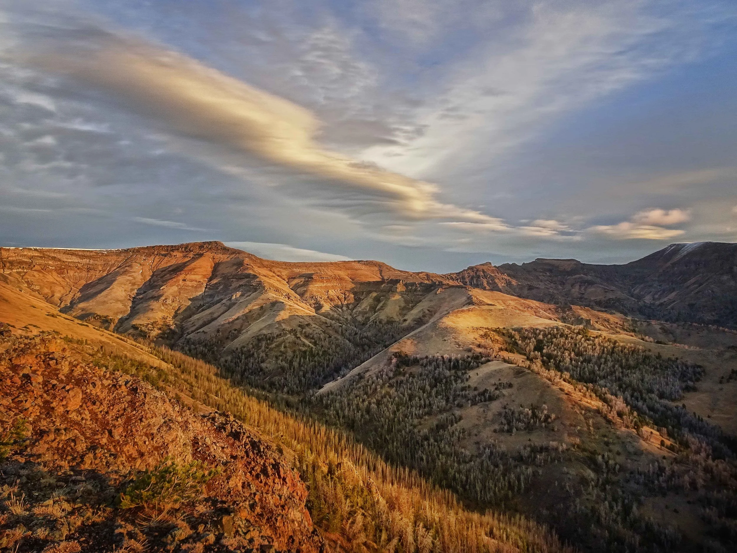 Elk Hunting