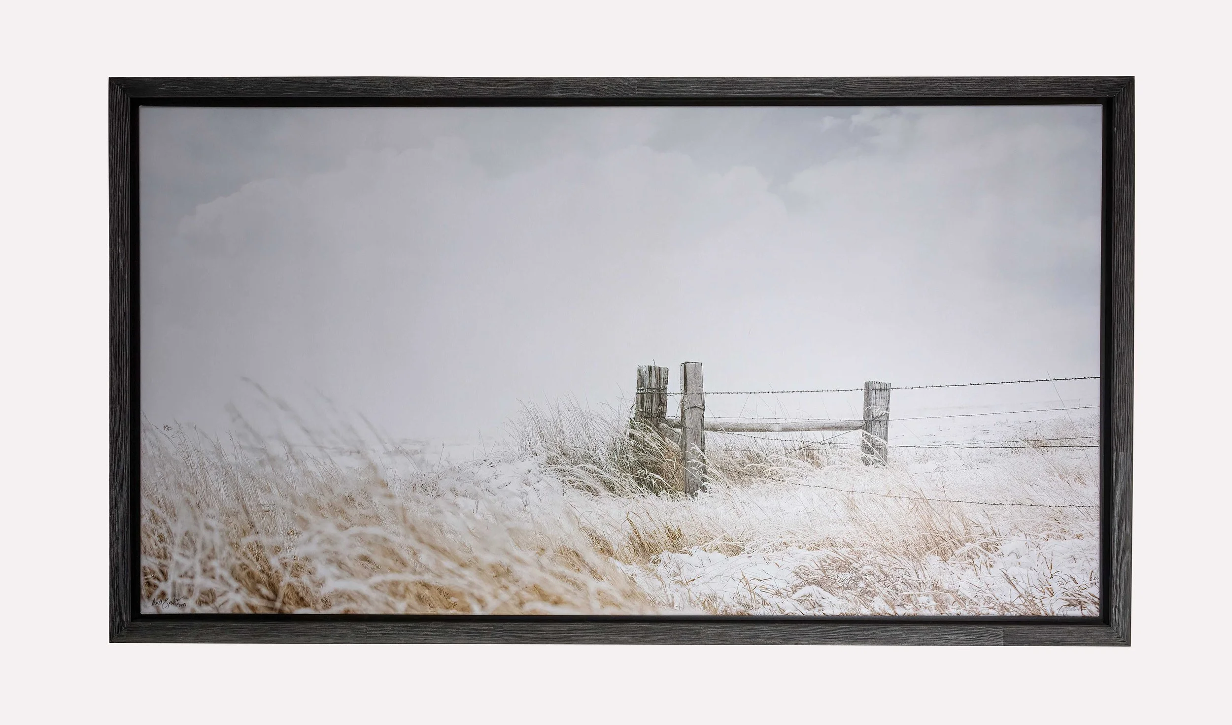 Snownyfence.jpg