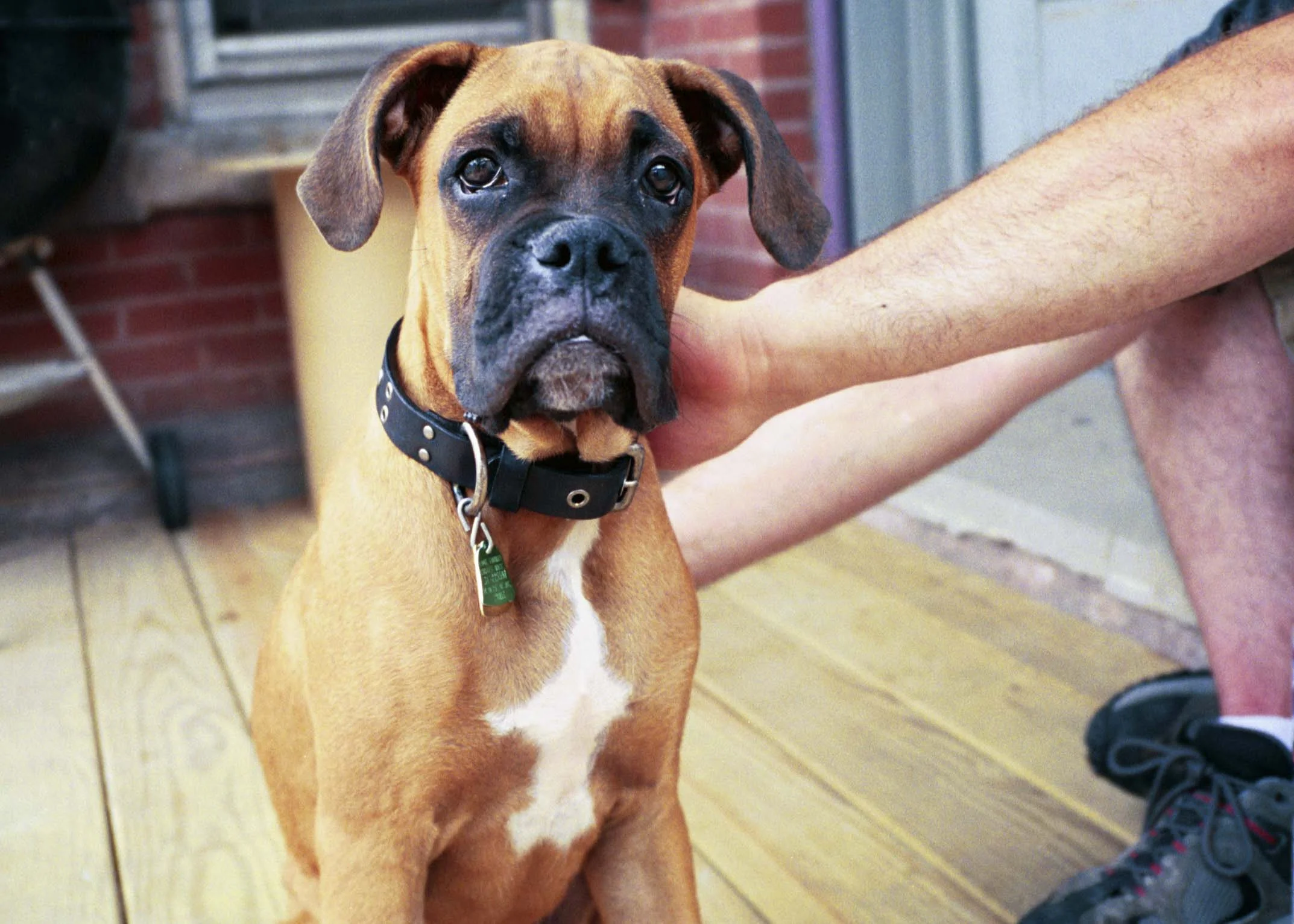 Home-REilly_6.jpg