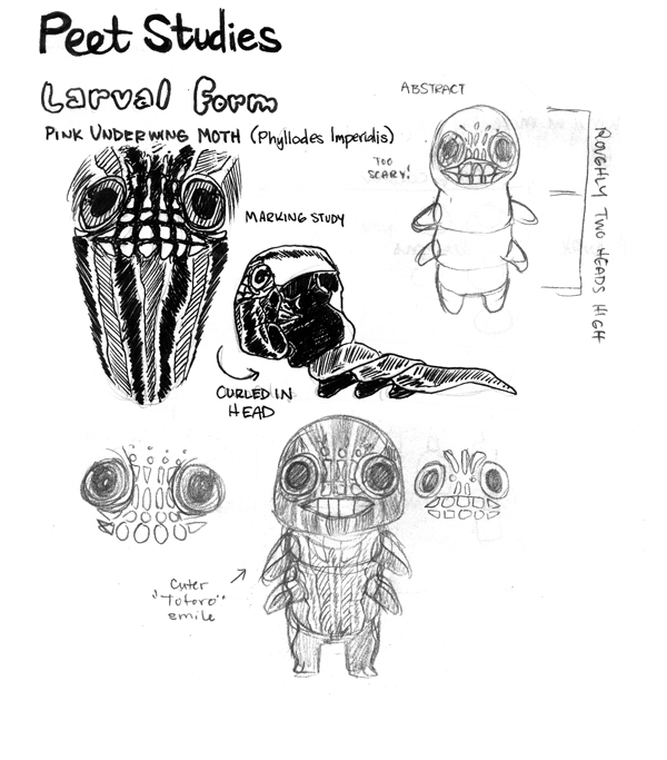 Concepts for Peet