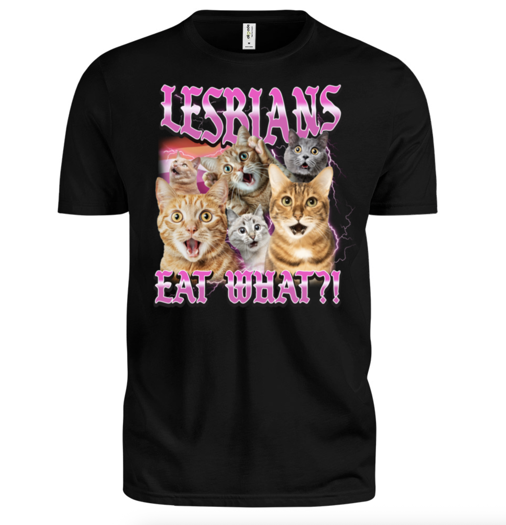 Screenshot 2025-08-18 at 4.44.13 PM.png