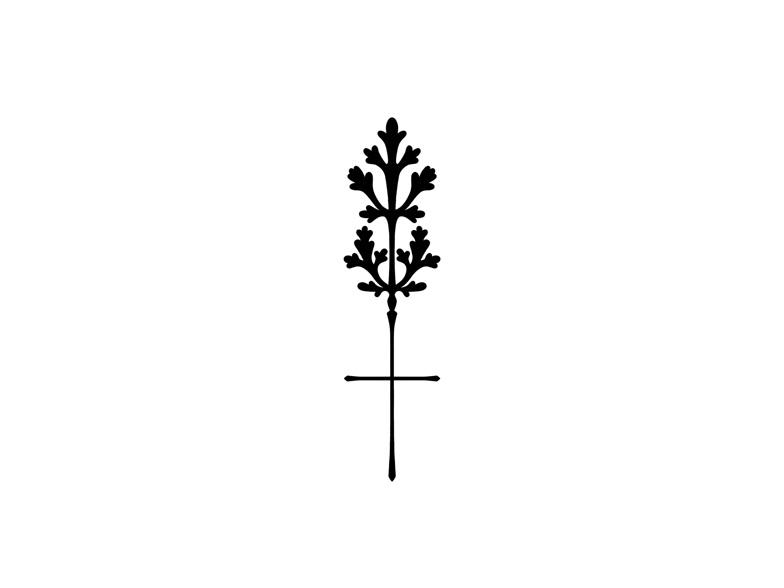 Untitled 9.png