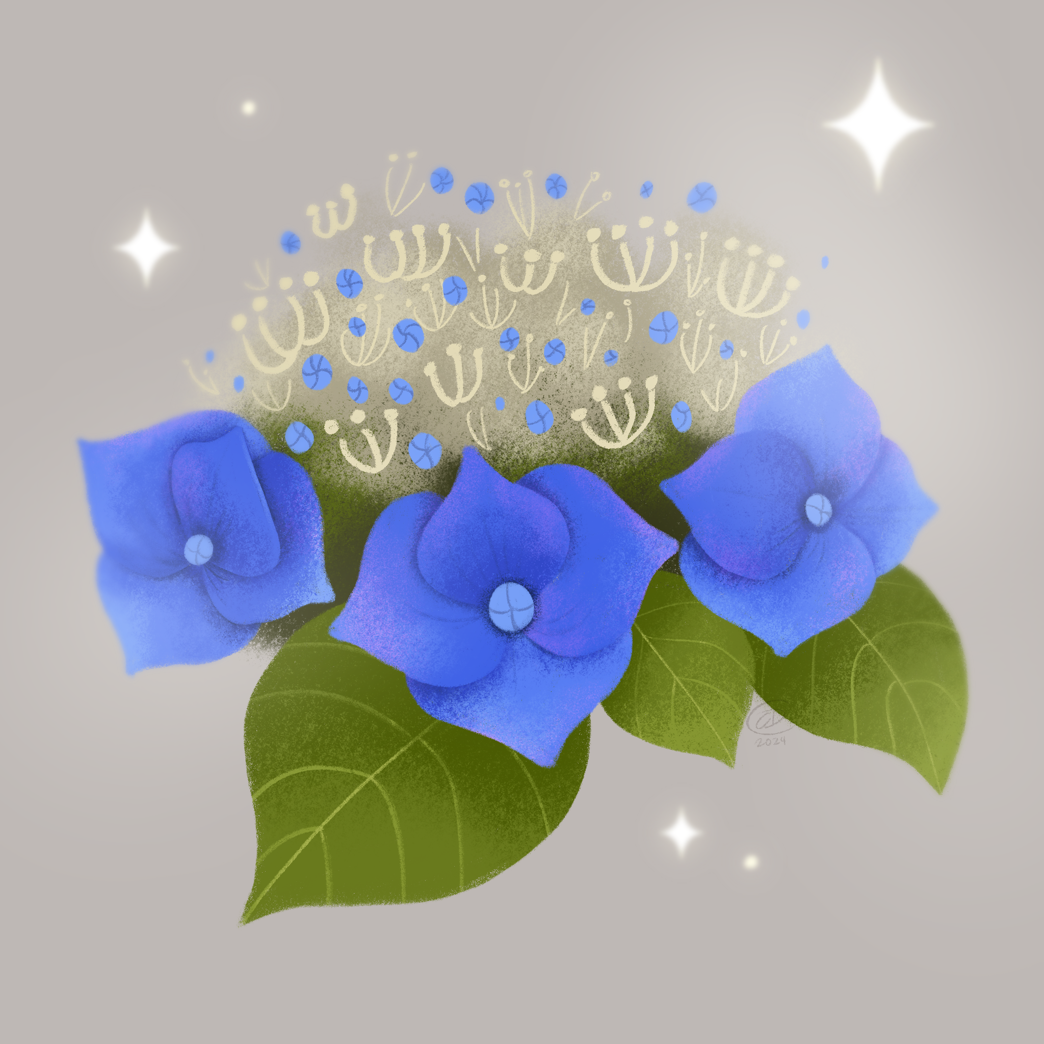 Hydrangeas_.png