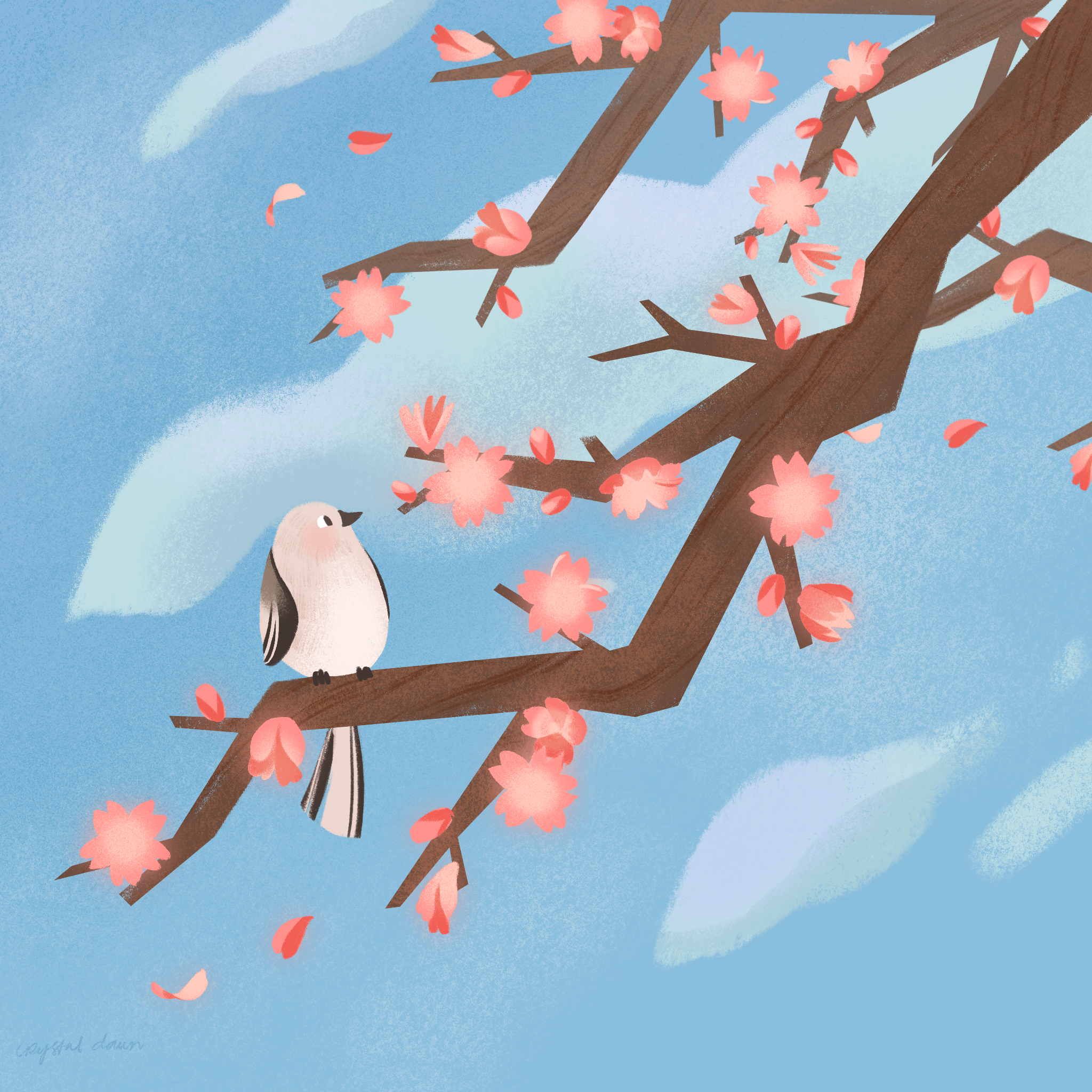 Cherry_Blossom_.png