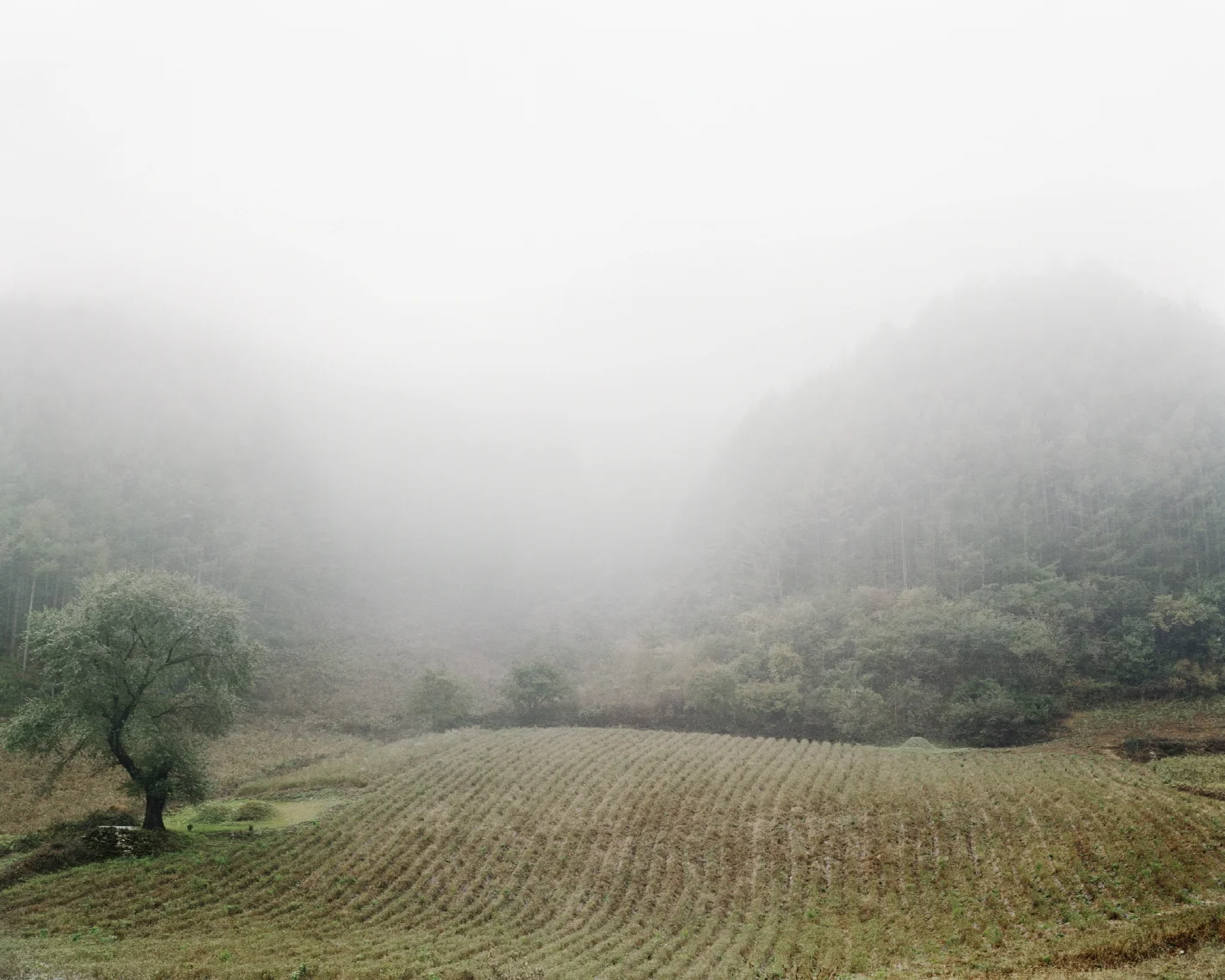 06 터_ 지속된 시간_ 강원도 영월군_ 2006.jpg