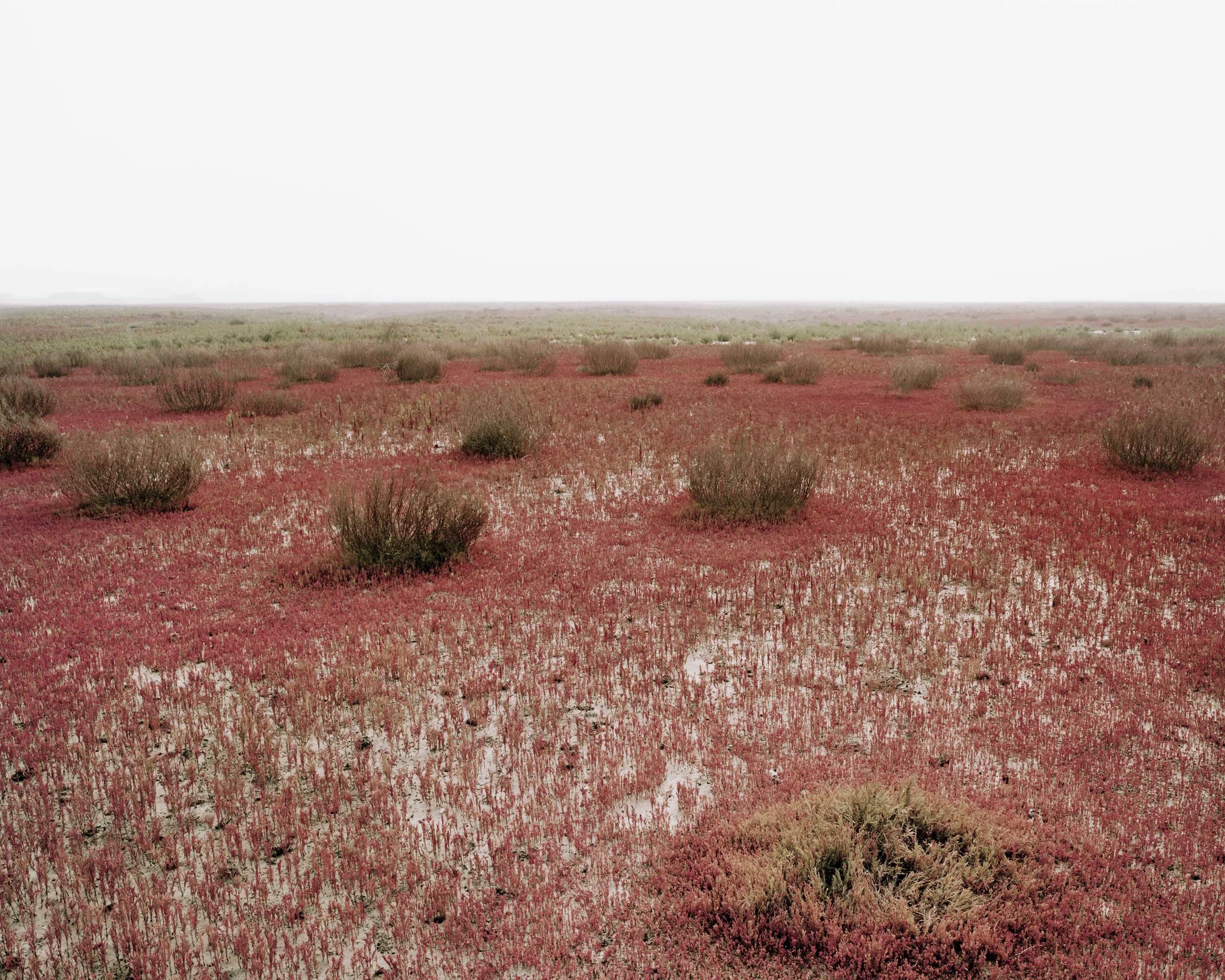 01生_ 바다풍경Life_ Seascape_ 2004.jpg