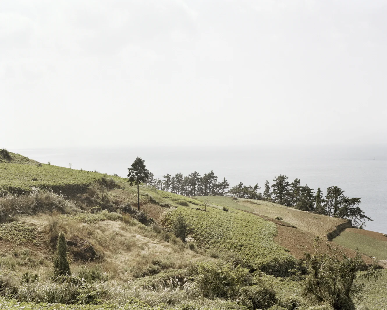 08 터_ 지속된 시간_ 경상남도 남해군_ 2007.jpg