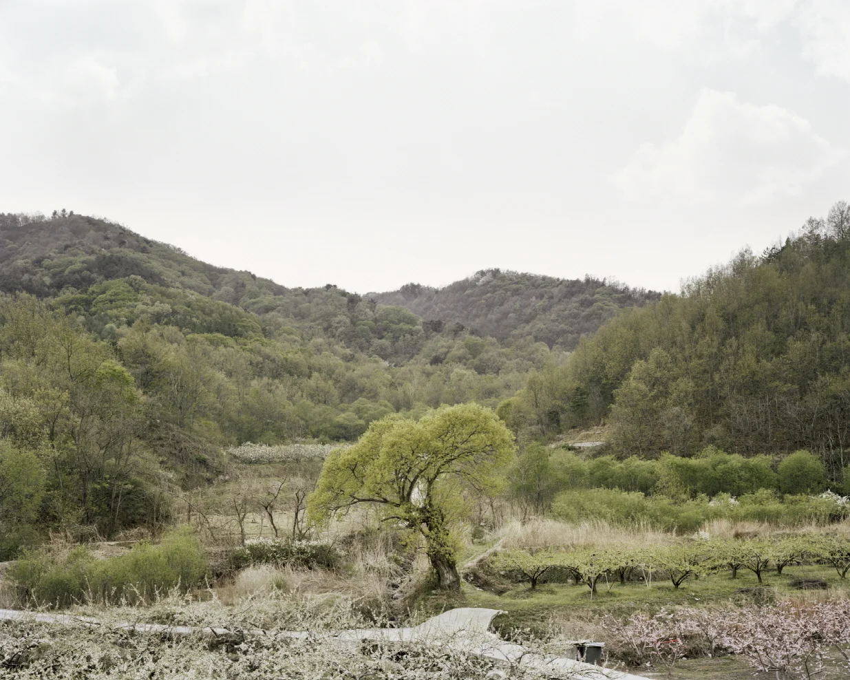 11 터_ 지속된 시간_ 경상북도 문경시_ 2011.jpg