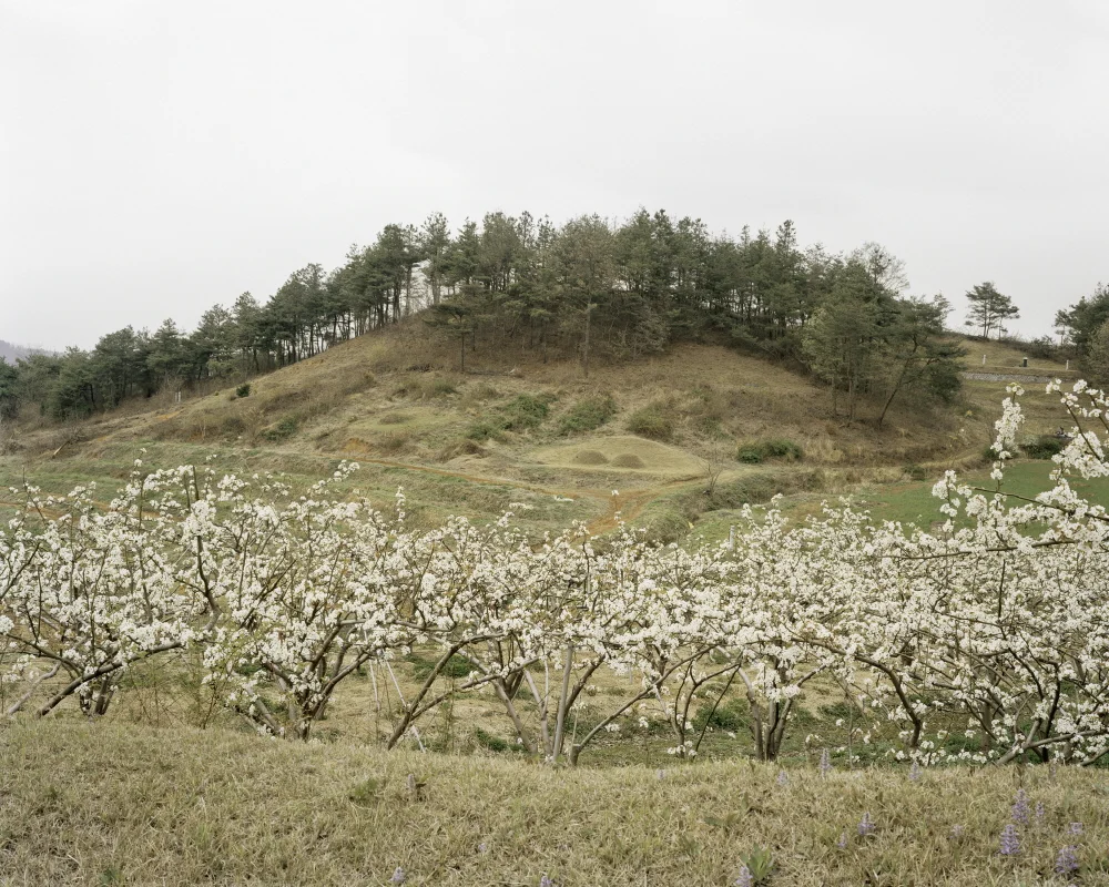 18 터_ 지속된 시간_ 충청북도 청주시_ 2006.jpg