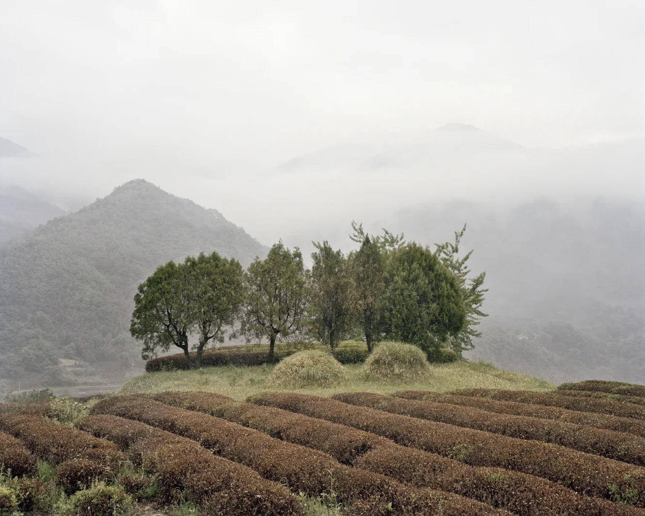 25 터_ 지속된 시간_ 경상남도 하동군_ 2011.jpg