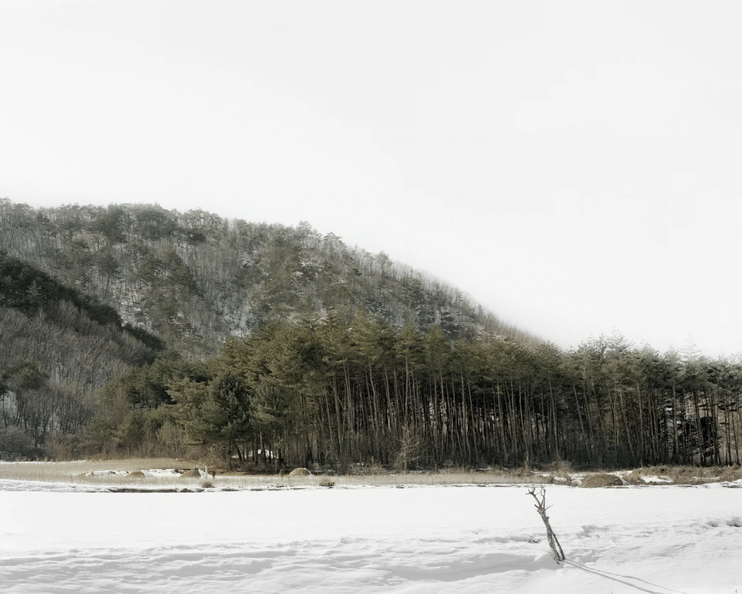 27 터_ 지속된 시간_ 강원도 삼척시_ 2012.jpg