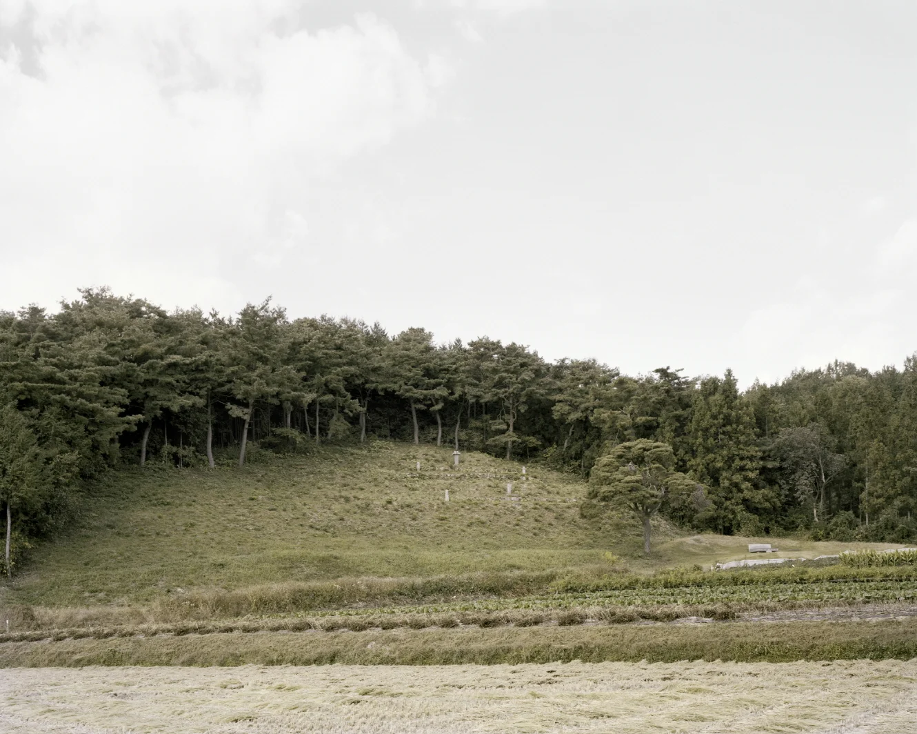 31 터_ 지속된 시간_ 전라남도 담양군_ 2011.jpg