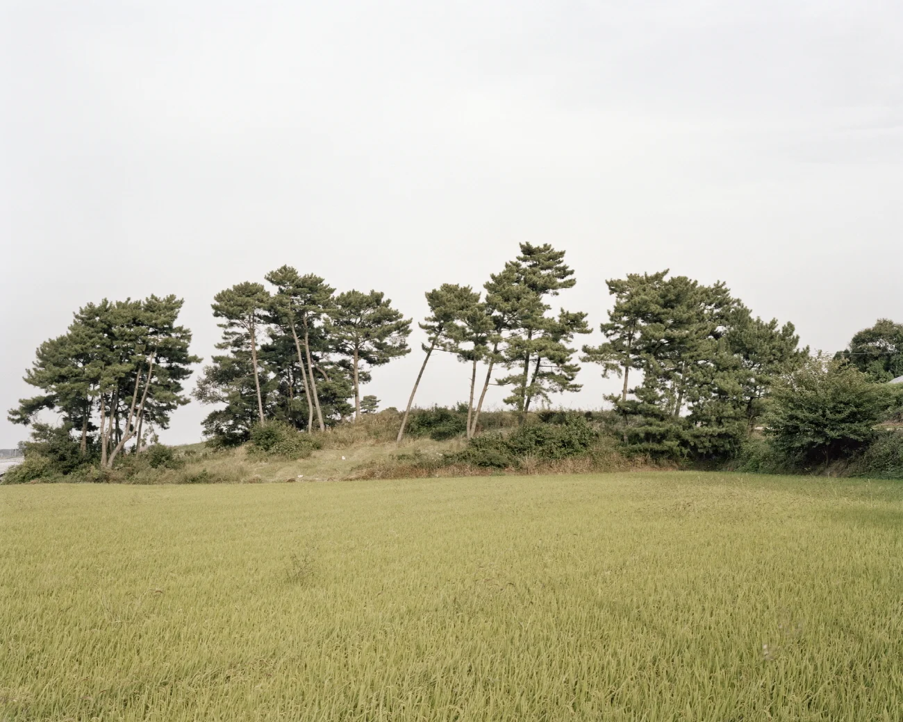 32 터_ 지속된 시간_ 전라북도 김제시_ 2011.jpg