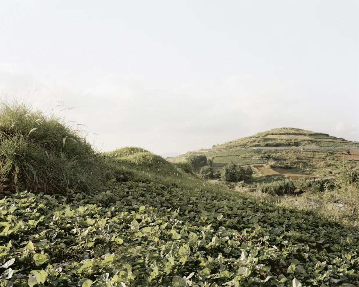 34 터_ 지속된 시간_ 경상남도 남해군_ 2007.jpg