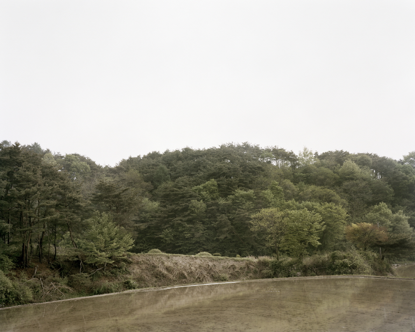 39 터_ 지속된 시간_ 경상북도 예천군_ 2011.jpg