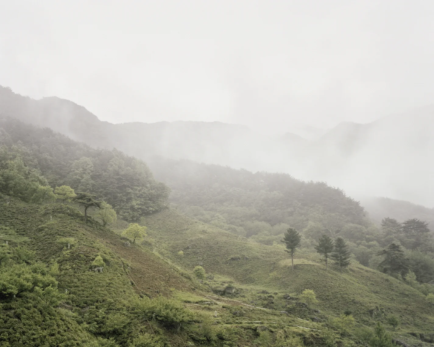 39-1 터_ 지속된 시간_ 경상남도 하동군_ 2011.jpg