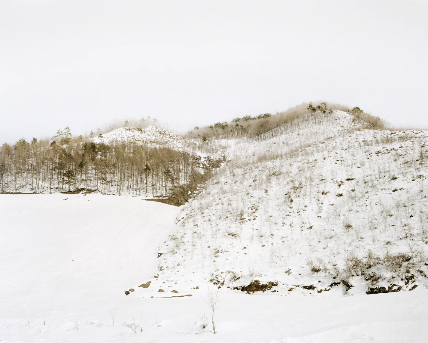 41 터_ 지속된 시간_ 강원 삼척시_ 2012.jpg