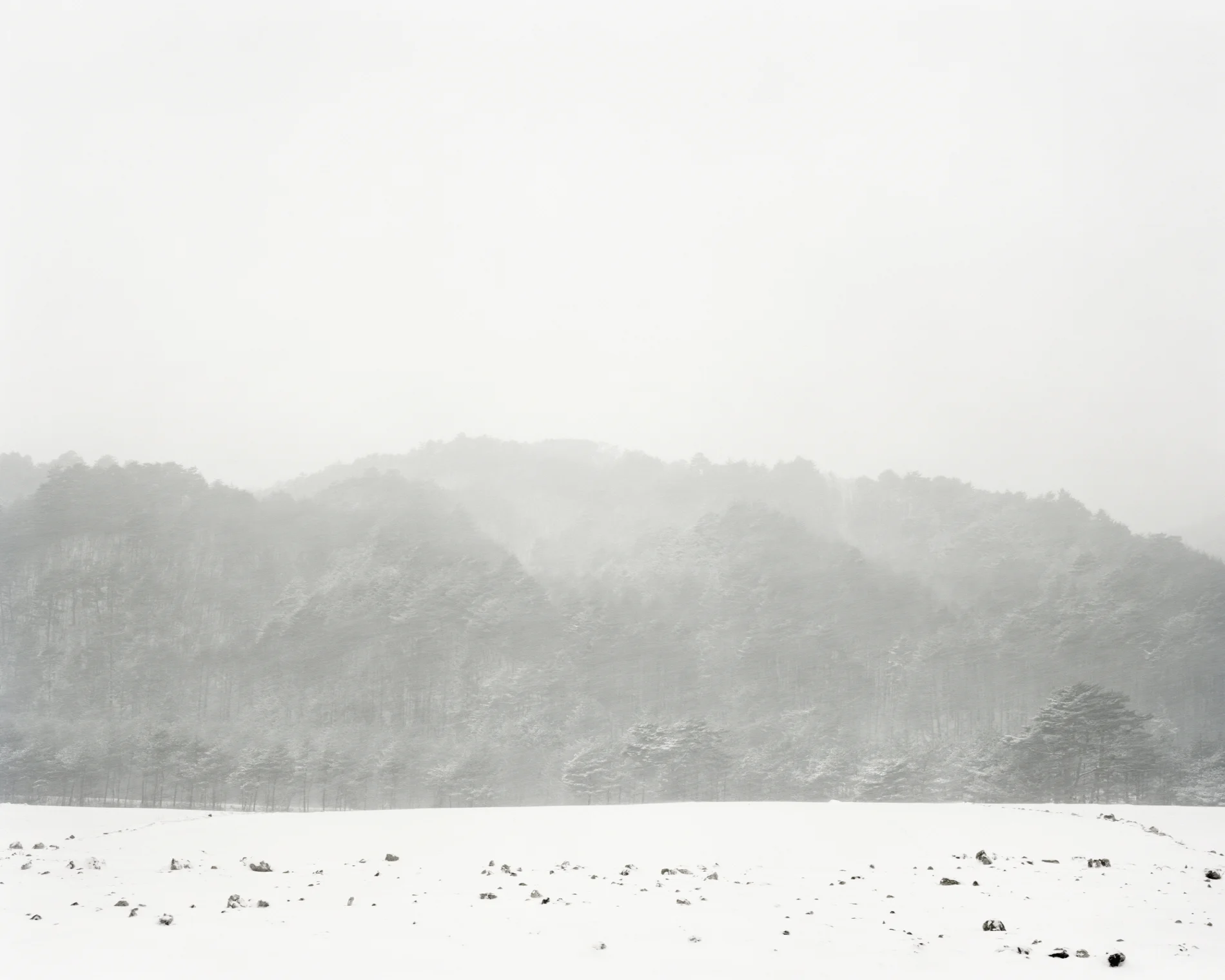 42 터_ 지속된 시간_ 강원 평창_ 2012.jpg