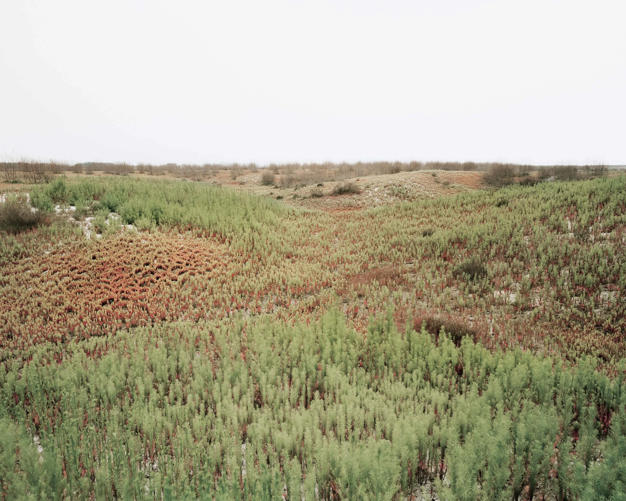 04生_ 바다풍경Life_ Seascape_ 2004.jpg