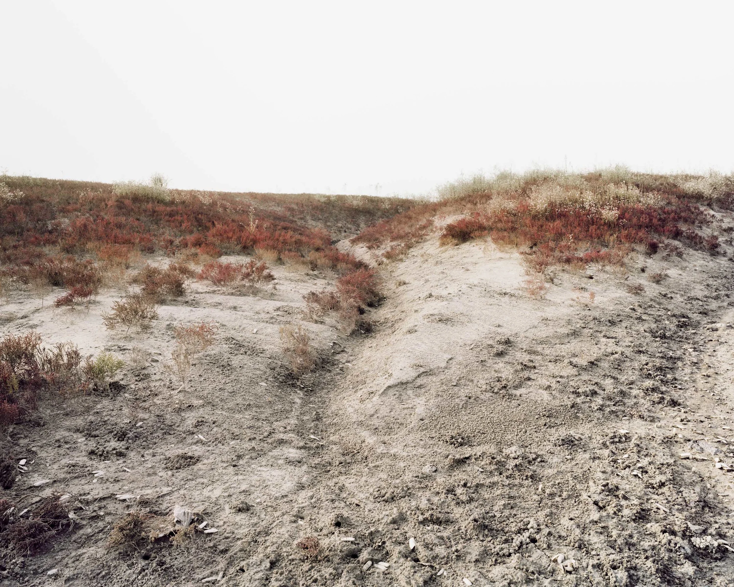 07生_ 바다풍경Life_ Seascape_ 2004.jpg