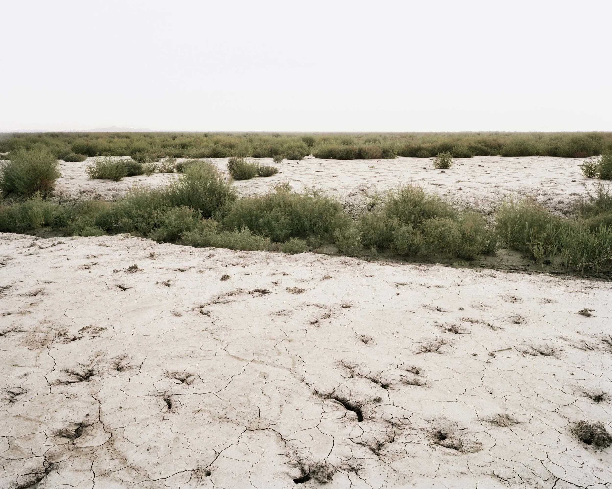 11生_ 바다풍경Life_ Seascape_ 2004.jpg