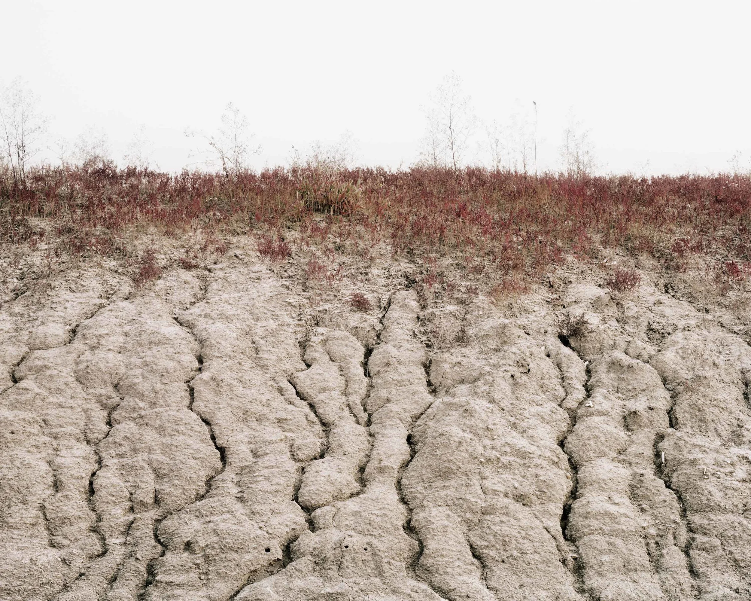 14 生_ 바다풍경Life_ Seascape_ 2004.jpg