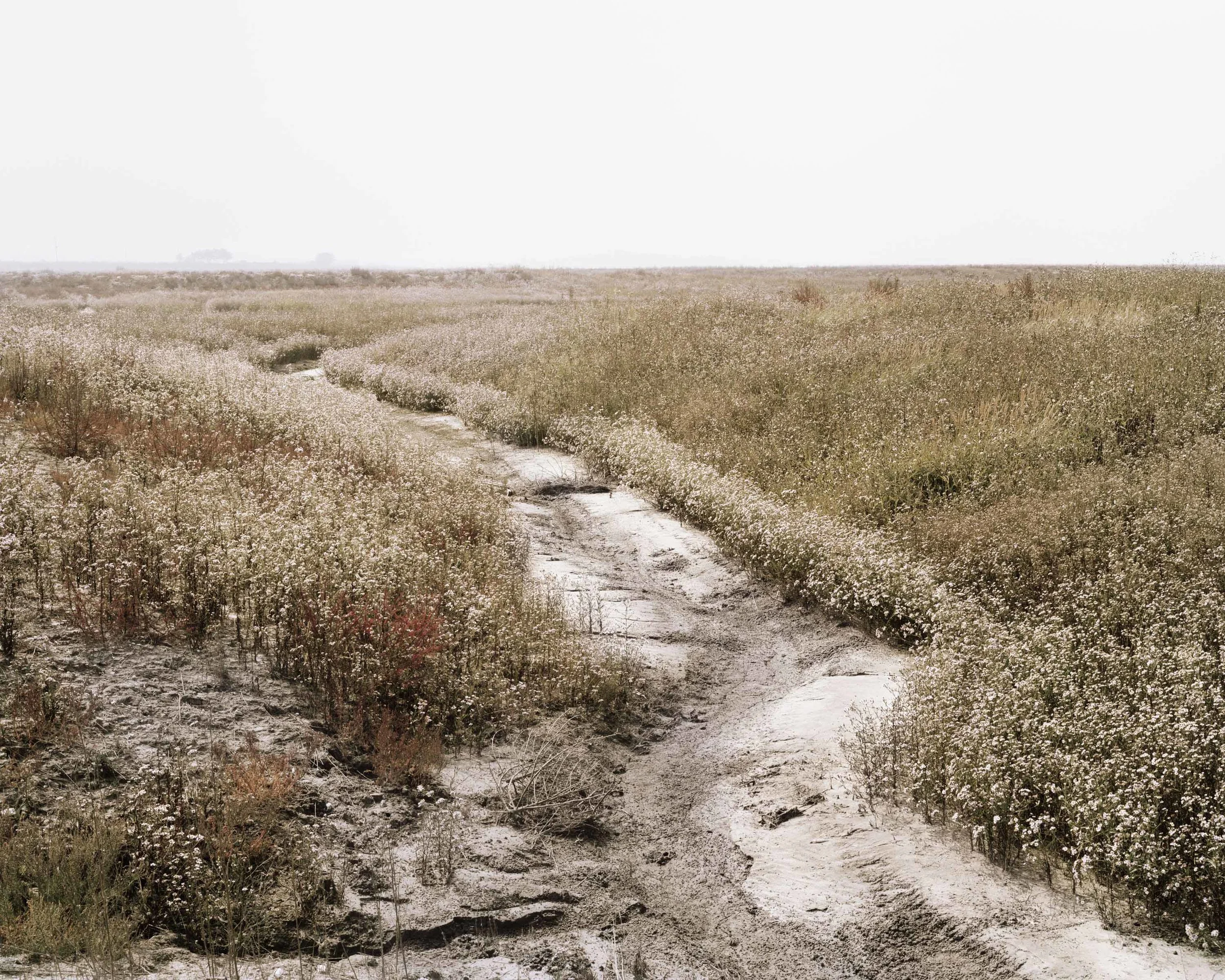 17生_ 바다풍경Life_ Seascape_ 2006.jpg