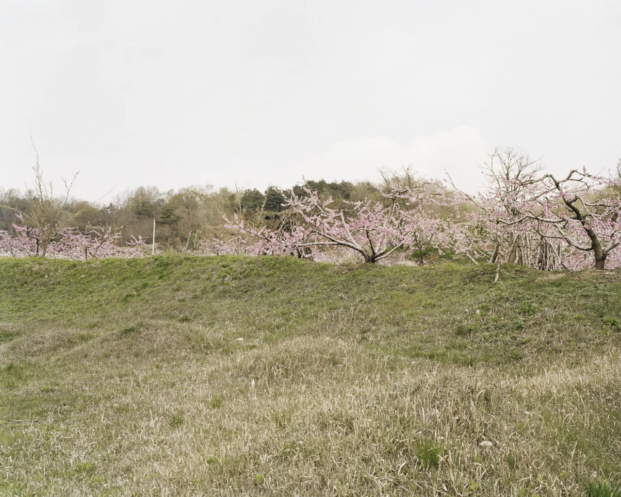 &nbsp;&nbsp;&nbsp;&nbsp;&nbsp;&nbsp;&nbsp;&nbsp;&nbsp;&nbsp;&nbsp;&nbsp;&nbsp;&nbsp;&nbsp;&nbsp;&nbsp;&nbsp;&nbsp;&nbsp;&nbsp;&nbsp;&nbsp;&nbsp;&nbsp;&nbsp;&nbsp;&nbsp;&nbsp;&nbsp;&nbsp;&nbsp;&nbsp;&nbsp;&nbsp;&nbsp;&nbsp;&nbsp;&nbsp;&nbsp;&nbsp;&nb…