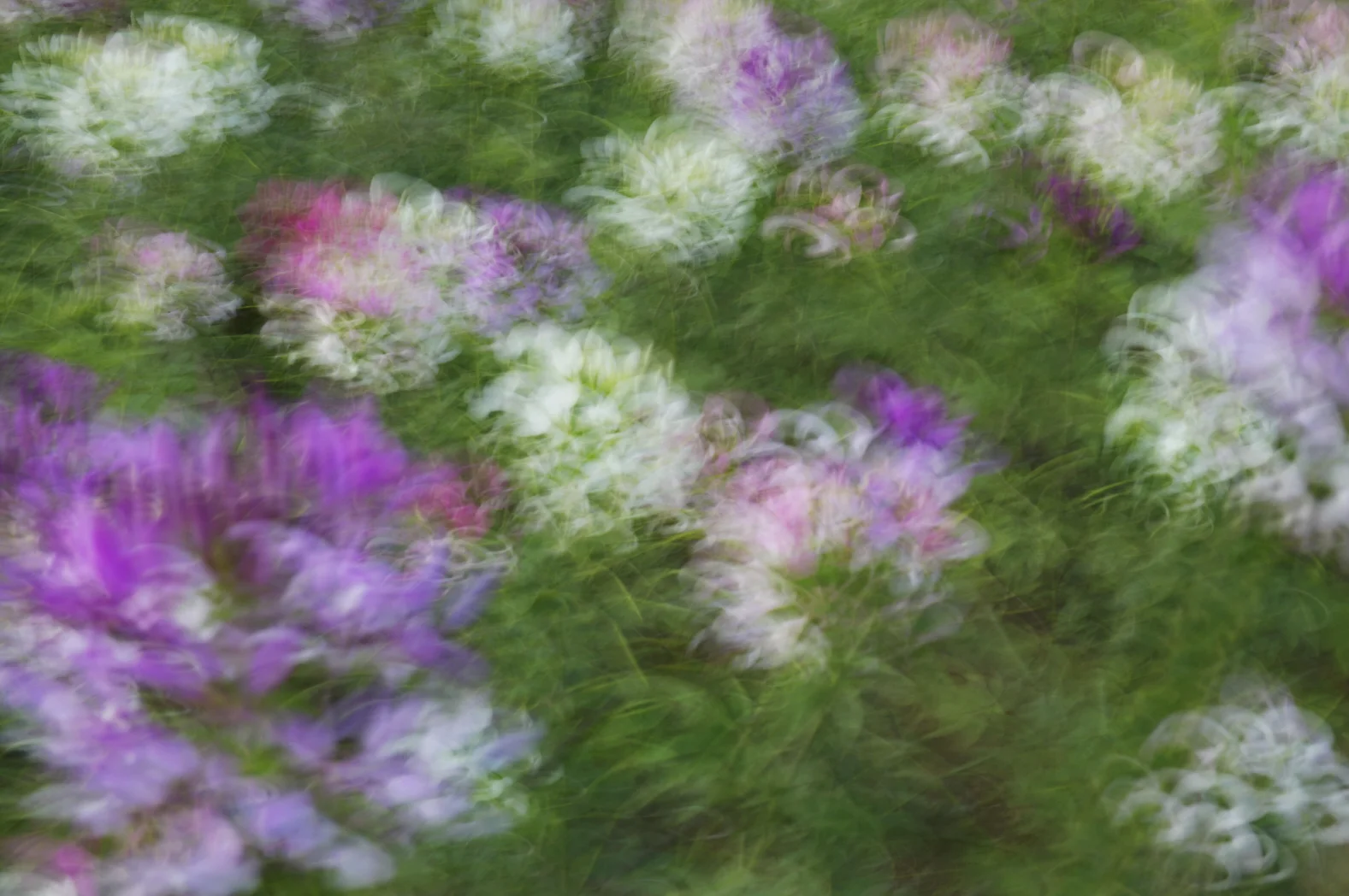 흐르는 꽃_03.jpg