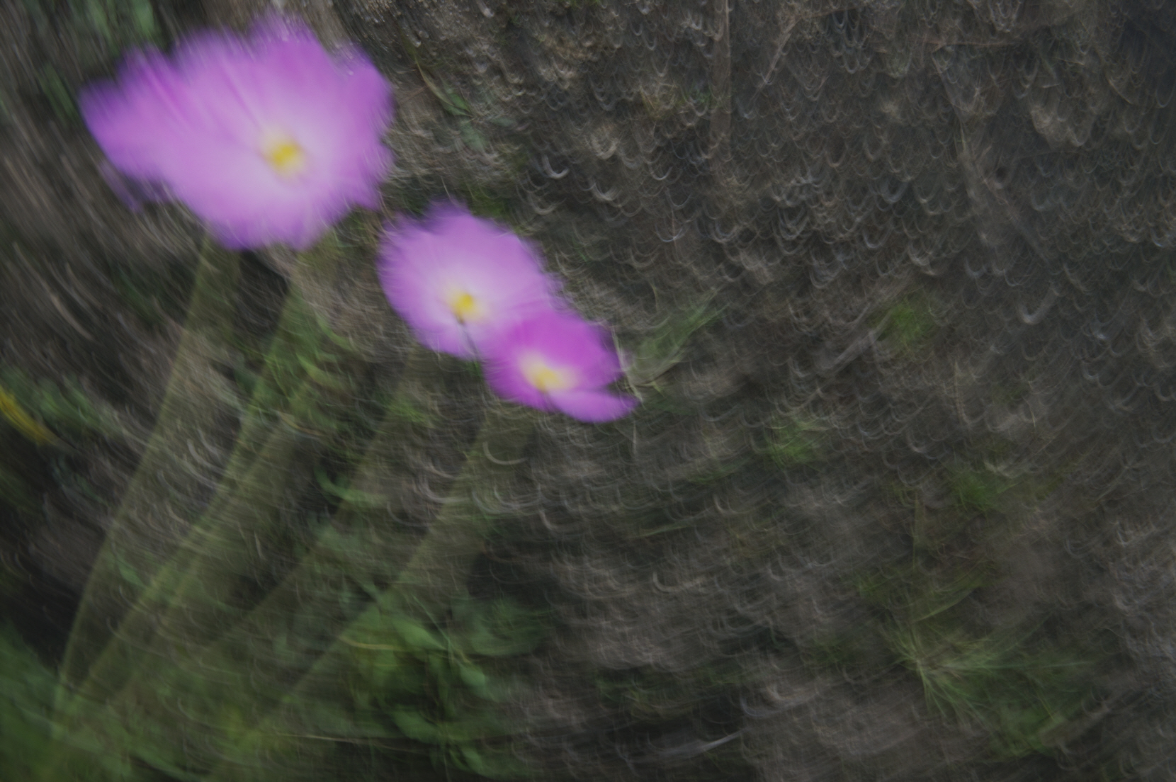 흐르는 꽃_12.jpg