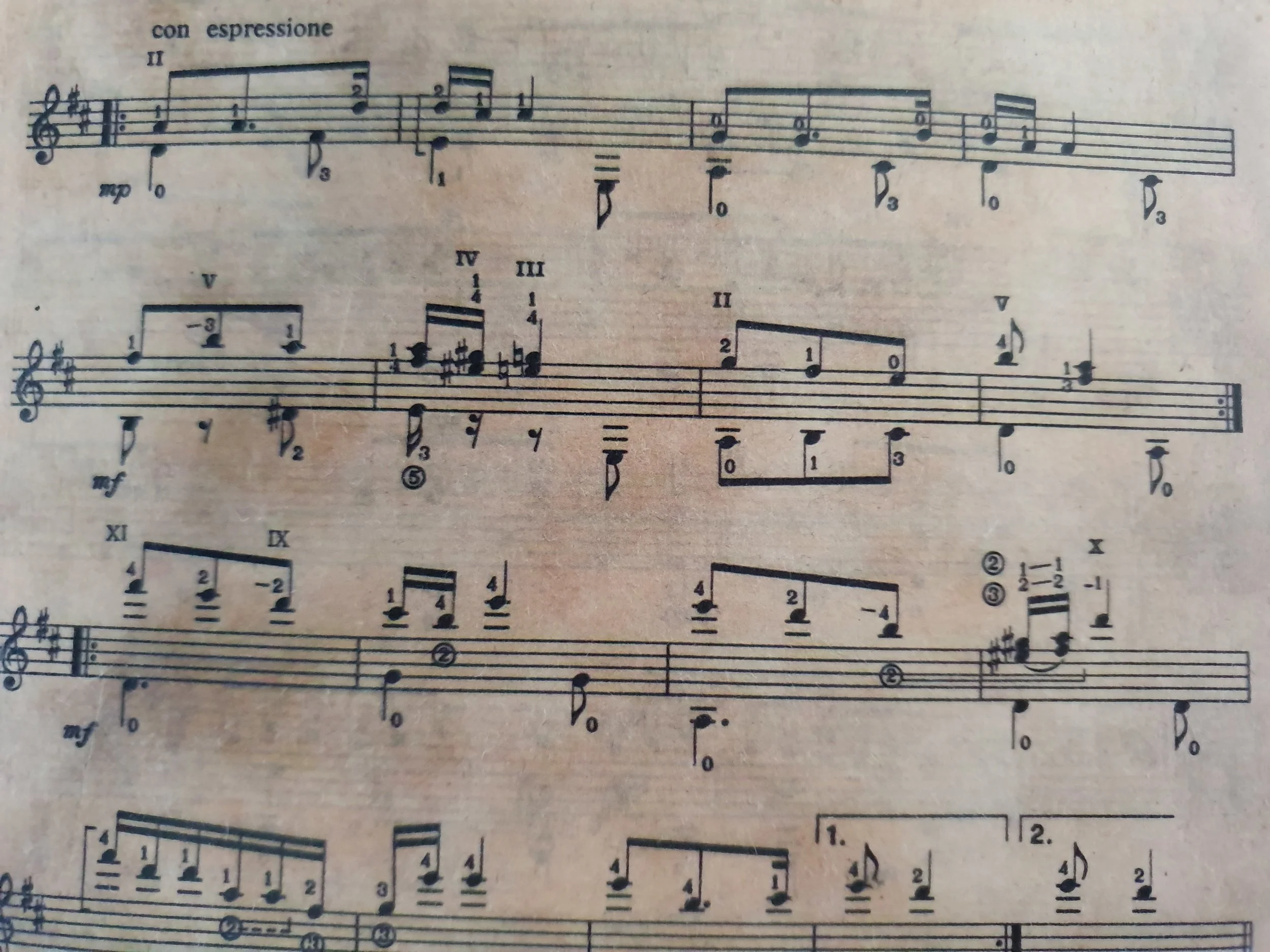 10 Things Beginners Say That Aren't True