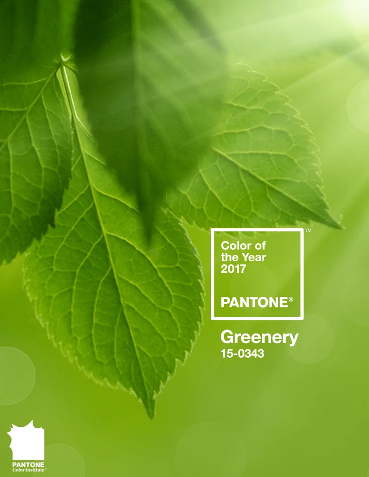 Image via Pantone