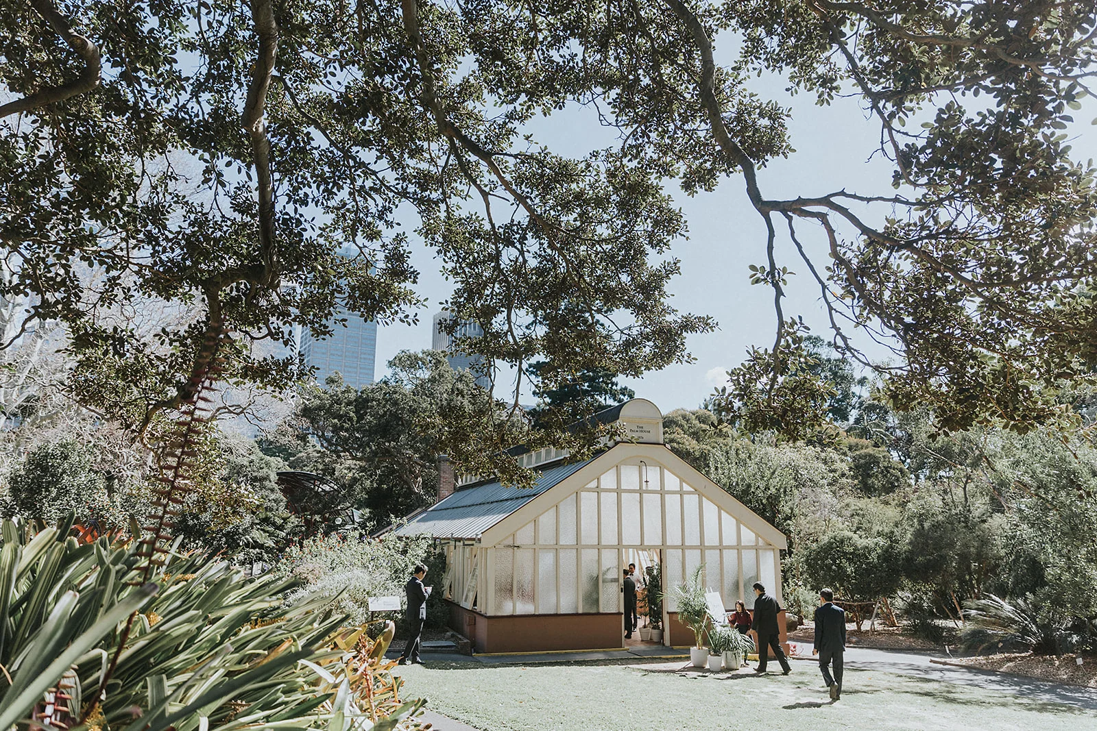 Palm-House-Botanic-Gardens-Wedding-Claire-Ron_312.jpg