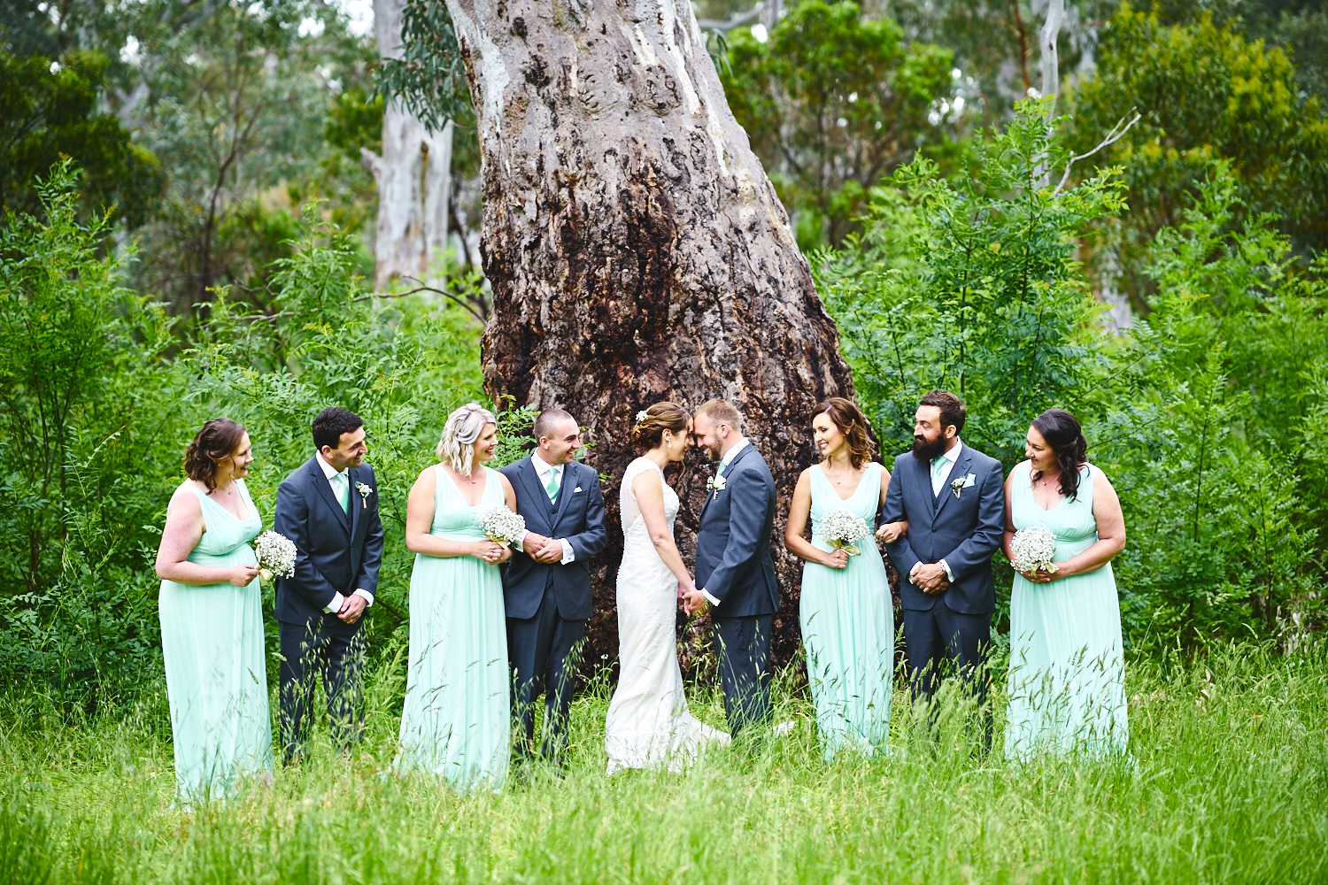 bridal party tree belair national park adelaide