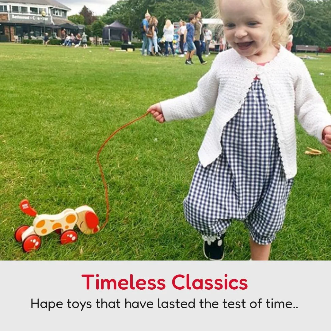 Hape Evergreen Classics