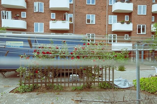 Random place in Vejle. #vejle #streetphotography #photography