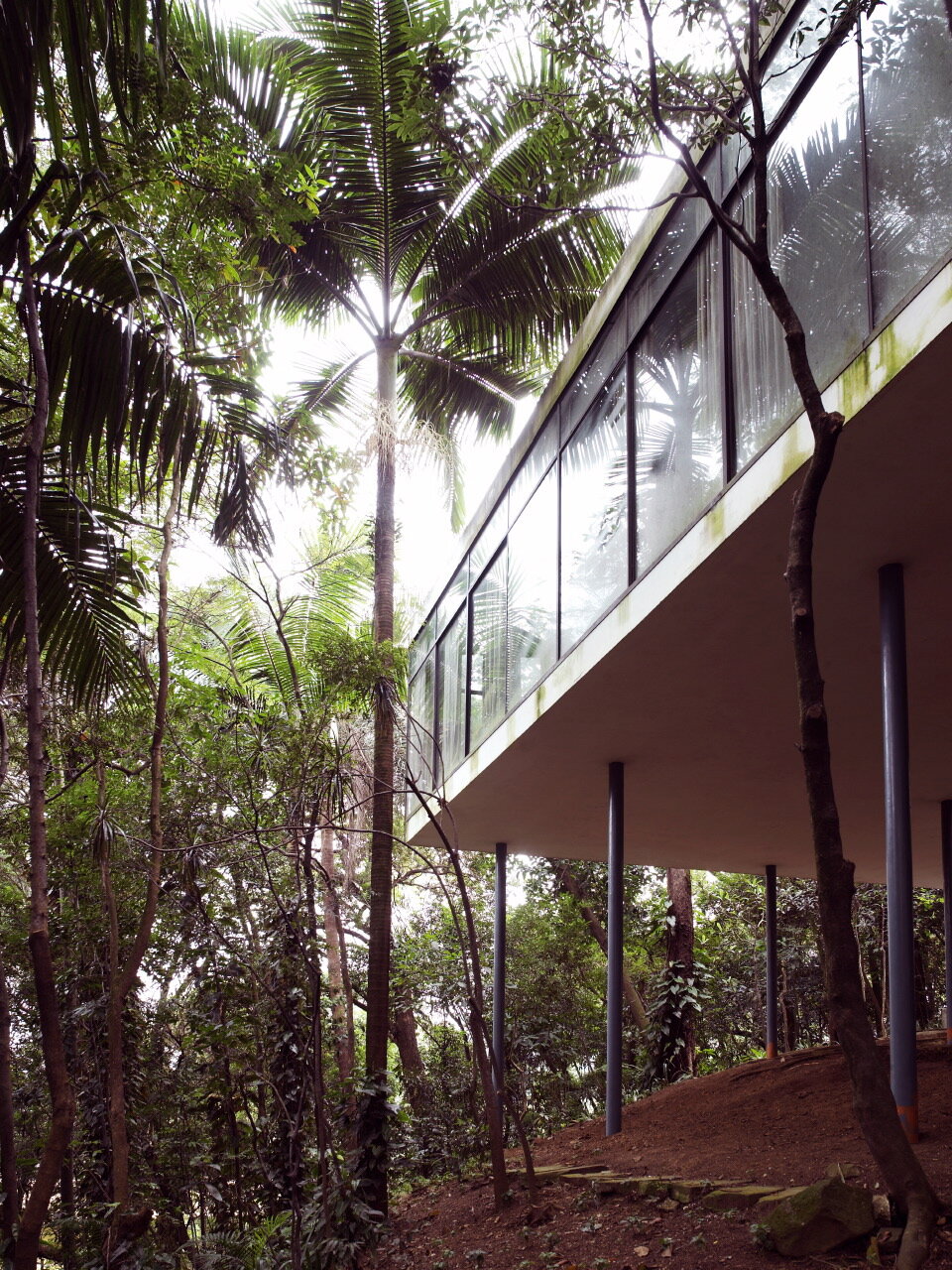  the glass house  design: lina bo bardi 