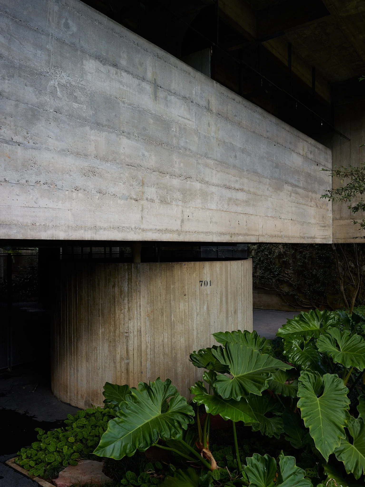 DaRochaHouse_BR-0344 copy.jpg