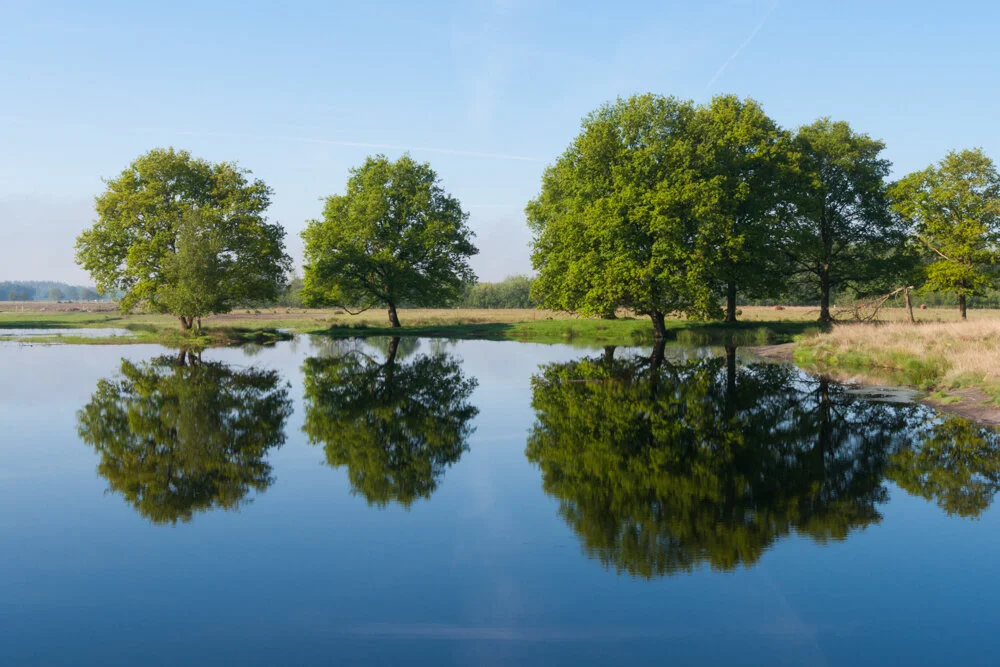 Het Maakbare Landschap 2/9