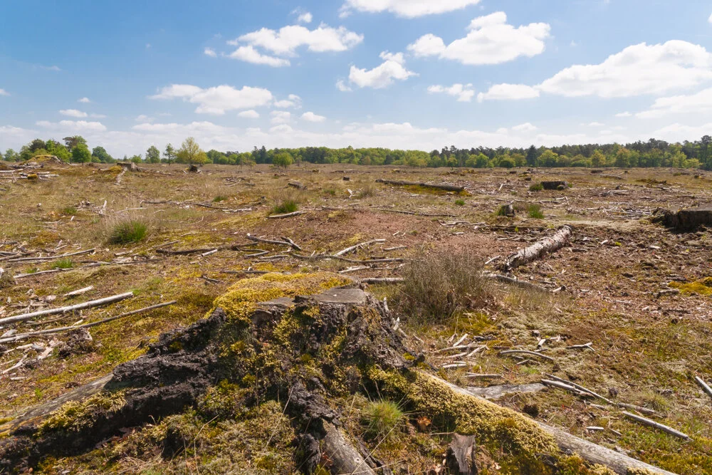 Het Maakbare Landschap 5/9