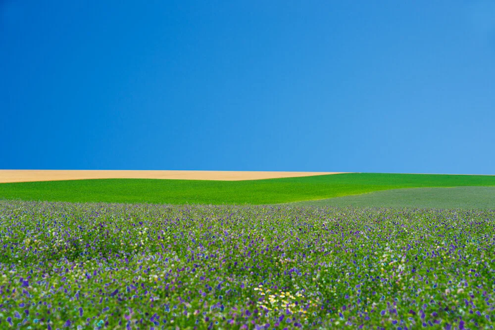 Paysage Culturel 4/10