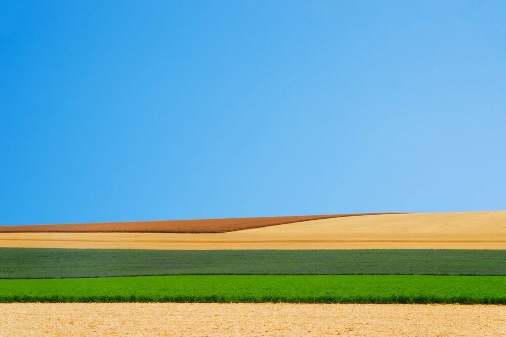 Paysage Culturel 9/10