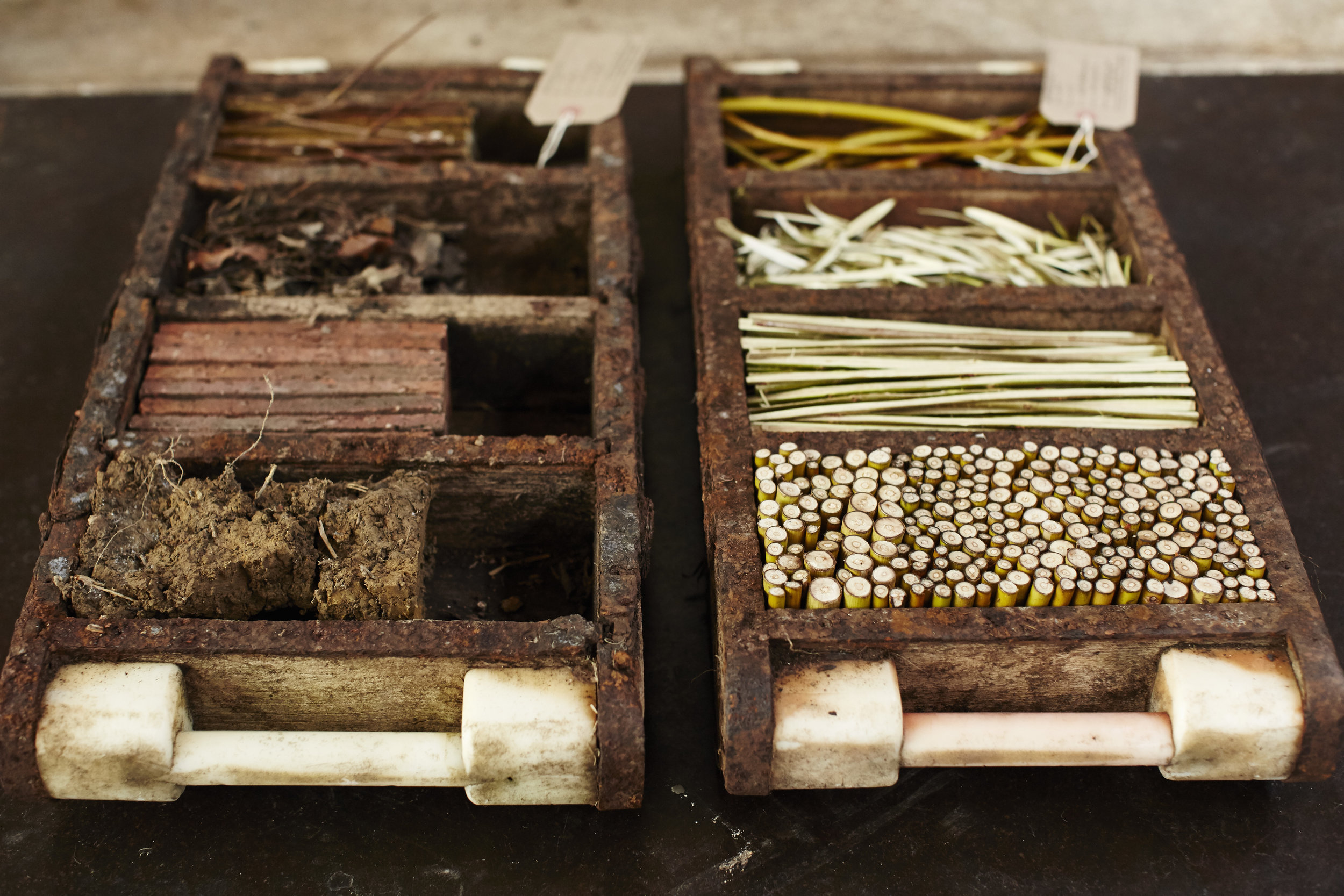 AlunCallenderPhoto_MakingGround_031__E9A4747.jpg